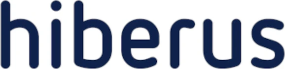 Hiberus IT Development Services